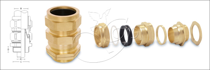 CW Type Cable Glands / CW NPT Type Cable Glands